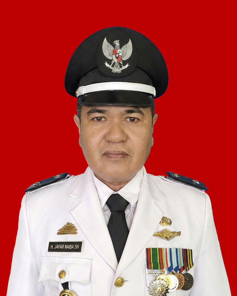 Artboard 11 Artboard 11